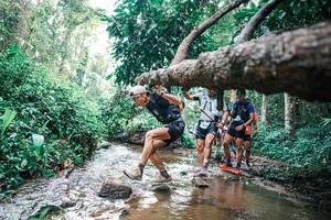 BIB: 
                            <button type="button" onclick="openModal(25371985)" class="btn btn-primary btn-sm float-right btn-popup" data-toggle="modal" data-target=".modal-high-quality">
                        <i class="fas fa-shopping-cart"></i> Add to Cart
                    </button>
                                            <button type="button" onclick="isThisMe(25371985, true)" class="btn btn-success btn-sm float-right btn-popup btn-isme hidden" data-toggle="tooltip" data-placement="bottom" title="นี่คือรูปของคุณใช่ไหม คลิกที่นี่เพื่อเอาเข้าอัลบั้ม">
                        <i class="fas fa-plus"></i> Add to album
                    </button>
                    <button type="button" onclick="isThisMe(25371985, false)" class="btn btn-warning btn-sm float-right btn-popup btn-isnotme hidden">
                        <i class="fas fa-ban"></i> Remove from album
                    </button>